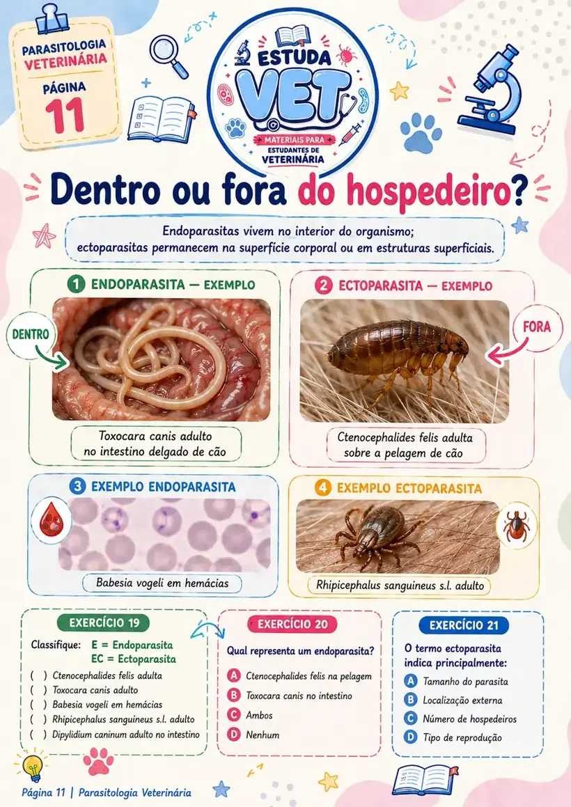 Página sobre endoparasitas e ectoparasitas