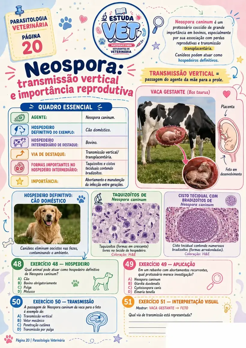 Página sobre Neospora e transmissão vertical