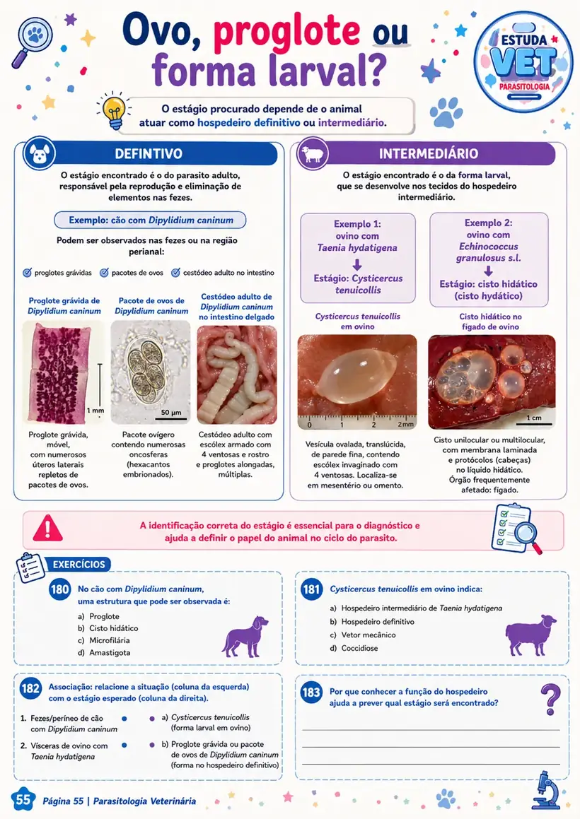 Página sobre ovo, proglote ou forma larval